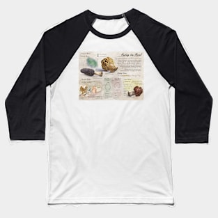 Morel Informational Poster Baseball T-Shirt